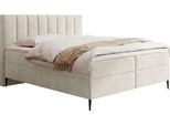 BOXBETT Allen mit Bettkasten, Samt Creme 160x200 cm – inkl. H4 Taschenfederkern Matratze & Foam Topper