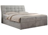 BOXBETT DIEGOS 160/200 Hellgrau Velvet - H4