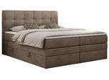 BOXSPRINGBETT LUKA KING 140/200 Braun Velvet - H3