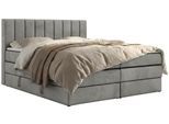 BOXSPRINGBETT ALVER KING 160/200 - Hellgrau Velvet - H4