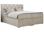 BOXBETT ALDA 120/200 Beige Velvet - H3