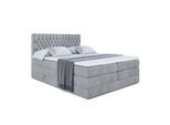 BOXSPRINGBETT SERENE KING - 200 x 200 - H3/H4 - Grau