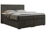 BOXBETT LOPE 200/200 - Dunkelgrau Velvet - H4