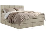 BOXSPRINGBETT ALVER KING 180/200 - Beige Velvet - H4