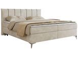 BOXBETT DRINEA 160/200 - Hellbeige Velours - H4