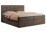 BOXBETT CENTO 180/200 Braun Velvet - H4