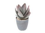 KUNSTPFLANZE Aloe vera im Deko-Topf, 21 cm
