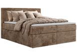 BOXBETT TILION 180/200 - Braun Cord - Topper T25 - H4