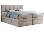 BOXSPRINGBETT ALVIN KING 140/200 Beige Struktur - H4