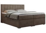 BOXBETT LOPE 160/200 - Braun Velvet - H4
