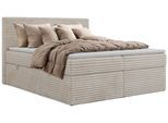 BOXBETT TILION 140/200 - Beige Cord - Topper Visco - H4