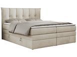 BOXSPRINGBETT PREMIUM 10 KING 180/200 Beige Velvet - H4