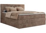 BOXSPRINGBETT TILIANO KING - 160/200 - Braun Cord - H4