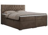 BOXBETT PERA 200/200 Braun Velvet - H4