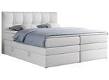 BOXSPRINGBETT ALVIN KING 120/200 Weiß Kunstleder - H4