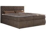 BOXBETT AVERTA 160/200 - Braun Velvet - H4