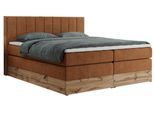 BOXSPRINGBETT BELLISSIMO KING 180/200 Orange Struktur - H4