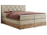 BOXSPRINGBETT VENETO KING 140/200 Beige Velvet - H4