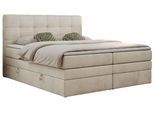 BOXSPRINGBETT LUKA KING 200/200 Beige Velvet - H3