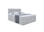 BOXSPRINGBETT APO KING - 140 x 200 - H3/H4 - Hellgrau