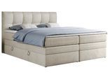 BOXSPRINGBETT ALVIN KING 180/200 Beige Velvet - H3