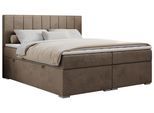 BOXBETT ALLY 200/200 Braun Velvet - H3