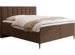 BOXBETT Allen mit Bettkasten, Samt Braun 160x200 cm – inkl. H4 Taschenfederkern Matratze & Foam Topper