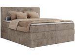 BOXSPRINGBETT TILIANO KING - 140/200 - Hellbraun Cord - H4