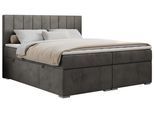 BOXBETT ALLY 120/200 Dunkelgrau Velvet - H3