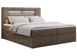 BOXBETT GOLD-5 LED 120/200 Braun Velvet - H3