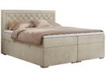 BOXBETT JASIR 120/200 - Beige Velvet - H4