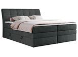 BOXSPRINGBETT GOLD-10 KING 140/200 Dunkelgrau Struktur - H3