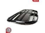ESEN SKV Kühlergitter 66skv155 für BMW