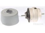 TRISCAN Lagerung, Motor 850529108 für Audi