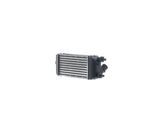 MAHLE Ladeluftkühler ci691000s für Fiat