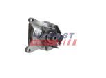 FAST Wasserpumpe ft11962 für Fiat Volvo Ford DAF MAZDA NISSAN LAND ROVER
