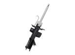 DACO GERMANY Stoßdämpfer 451012r für Ford