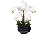 Kunstorchidee CREATIV GREEN "Phalaenopsis", weiß, H:75cm, Kunststoff, Kunstpflanzen, Kunstorchidee, in Design-Kunststoffvase