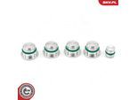 ESEN SKV Reparatursatz, Saugrohrmodul 49skv525 für LANCIA