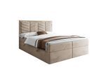 KONTINENTALBETT AURORA 160x200 mit Bettkasten Royal Velvet 170