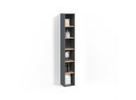 BADSCHRANK Paolina Anthrazit/Goldkraft Eiche 30 x 188.6 cm