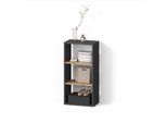 AUFBEWAHRUNGSREGAL Ortello Anthrazit/Goldkraft Eiche 40 x 80.1 cm