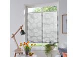 Plissee OTTO HOME "BELUM" Gr. 2, grau (hellgrau), B:50cm H:130cm, Obermaterial: 70% Baumwolle, 30% Polyester, Plissees, im Fixmaß, Ausbrenner, Kreise, Blumen, Klemmträger