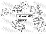FEBEST Lagerung, Motor tmuzj100f vorne für TOYOTA