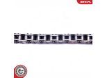 ESEN SKV Steuerkettensatz 21skv227 für Ford MINI Peugeot MAZDA RENAULT