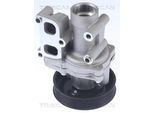 TRISCAN Wasserpumpe 860043023 für HYUNDAI