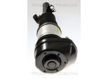 TRISCAN Luftfederbein 872011101 für BMW