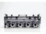 AMC Zylinderkopf 908889 für RENAULT