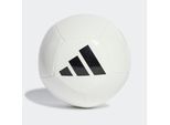 Fußball ADIDAS PERFORMANCE "UNIVERSADI" Gr. 5, schwarz-weiß (weiß, schwarz), Bälle, 5, 0,4 g, Synthetik, B:22,3cm H:17,3cm T:22cm