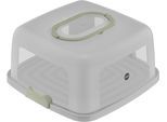 Kuchentransportbox EMSA "K32670 Prep&Bake", grün (transparent, grün), B:35,5cm H:16,1cm L:32,5cm, Kunststoff, Lebensmittelaufbewahrungsbehälter, eckig 37x33 cm, Tragegriff, Schneidevorrichtungen